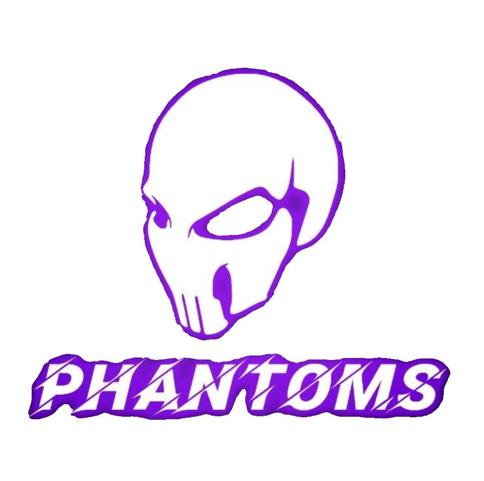 Logo PHANTOMS FEM